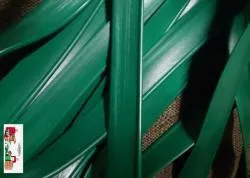 вяроўка шнуры 08